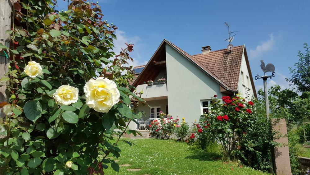 Le Gm Chambres D'Hotes De Charme En Alsace Mittelwihr Exterior foto